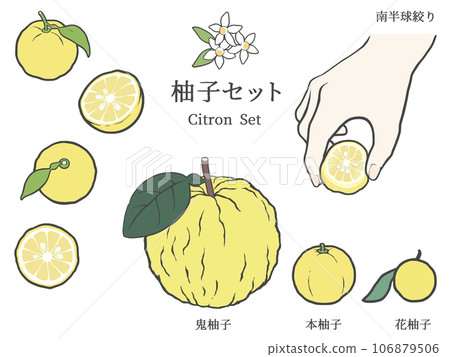 Simple and neat illustrations of various yuzu Simple and neat illustrations of various yuzu 106879506