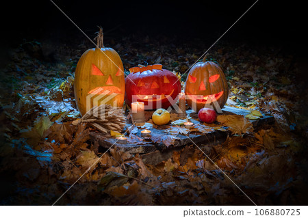 Halloween pumpkin with candle closeup in dark forest. Halloween festive background 106880725