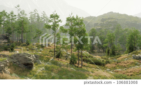 A serene and natural landscape with trees and rocks in the foreground A serene and natural landscape with trees and rocks in the foreground 106881008
