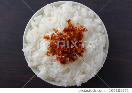 碗裡的米飯和自製的岡卡香松 碗裡的米飯和自製的岡卡香松 106881951