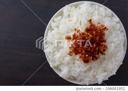 碗裡的米飯和自製的岡卡香松 碗裡的米飯和自製的岡卡香松 106881952