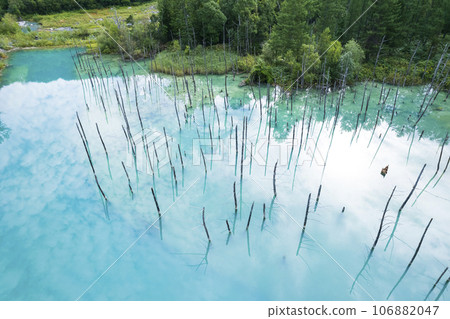 北海道美瑛白金藍池鳥瞰圖 北海道美瑛白金藍池鳥瞰圖 106882047