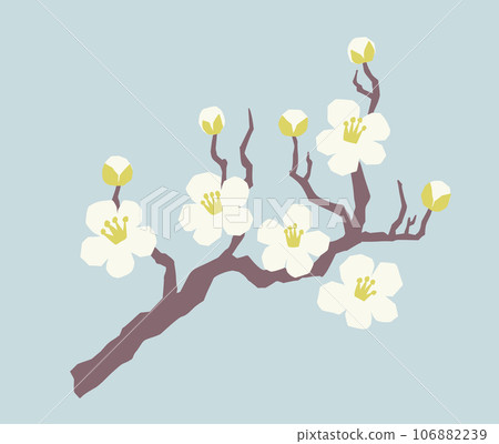 梅花白色淺藍色背景暗色 106882239