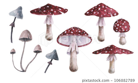toadstool fly agaric with magical texture isolated on white background. Watercolor hand drawn amanita mushroom sketch iIllustration. Art design witchcraft halloween witch decoration, greeting card 106882789
