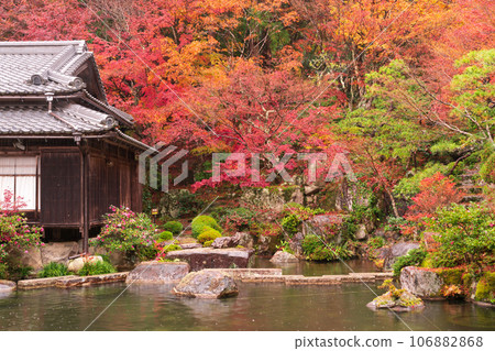 拍攝滋賀縣江東三山之一的百濟山的秋葉 拍攝滋賀縣江東三山之一的百濟山的秋葉 106882868