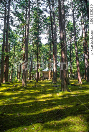 Fukui Heisenji Hakusan Shrine beautiful moss garden and summer sunshine 106883089