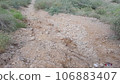 mud road going from center in balochistan pakistan 106883407