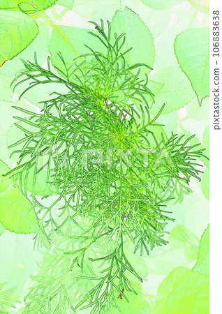Houseplant green feather illustration 1 Houseplant green feather illustration 1 106883638