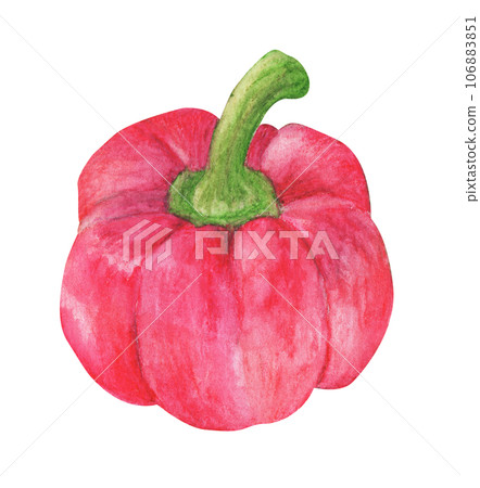 Watercolor painting of Fresh vegetables sweet pepper. 106883851