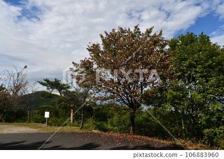 Square near Nishimukanuma on a calm autumn day Square near Nishimukanuma on a calm autumn day 106883960