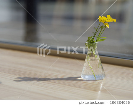 Yellow flowers in a small glass vase by the window 106884036