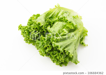 葉生菜 106884362