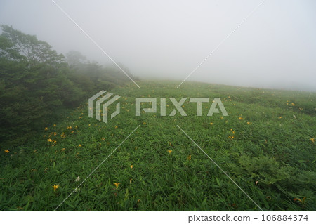從霧降高原木菅平山頂附近眺望木菅平山麓 2023年7月10日 從霧降高原木菅平山頂附近眺望木菅平山麓 2023年7月10日 106884374