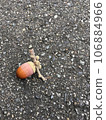 Acorn with branches 106884966