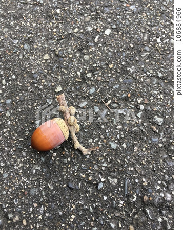 Acorn with branches 106884966