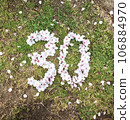 Numbers made from cherry blossom petals 106884970