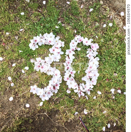 Numbers made from cherry blossom petals 106884970
