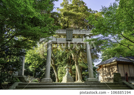 福井縣堺市三國神社木神社 106885194