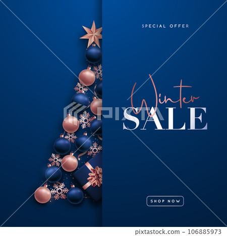 Winter sale banner.  106885973