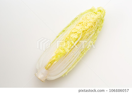 Cabbage Cabbage 106886057
