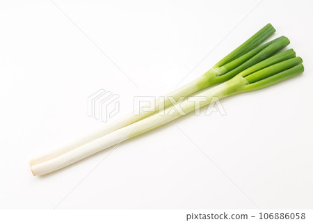 Japanese leek  106886058