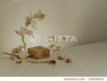 Wooden podium with a branch of leaves and an arch for the demonstration of cosmetics. Beige background for branding and packaging presentation 106886981