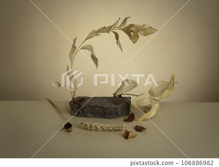stone podium with a branch of leaves and an arch for the demonstration of cosmetics. Beige background for branding and packaging presentation 106886982