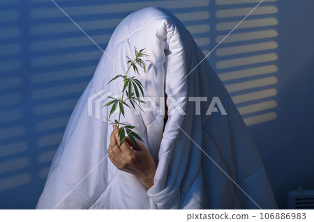 Blanket of Dreams: Harnessing the Calming Essence of CBD and Cannabis for Restful Sleep 106886983