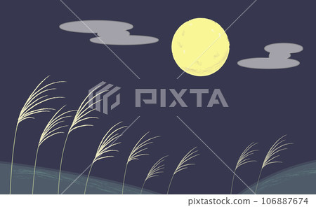 滿月和潘帕斯草漂浮在夜空中 106887674