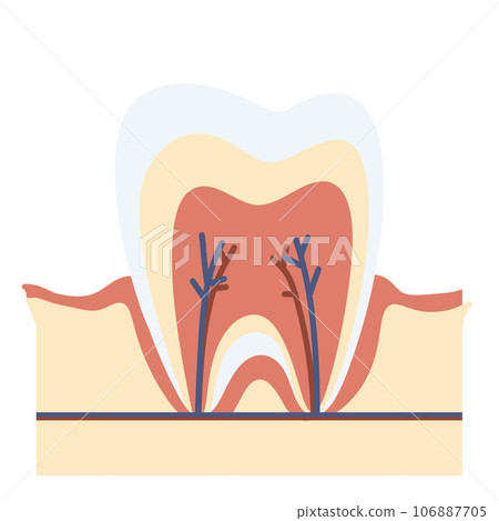 Tooth anatomy decay caries toothache dental dentist healthcare circle icon Tooth anatomy decay caries toothache dental dentist healthcare circle icon 106887705