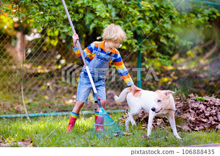 Child and rake in autumn garden. Kid raking leaves Child and rake in autumn garden. Kid raking leaves 106888435