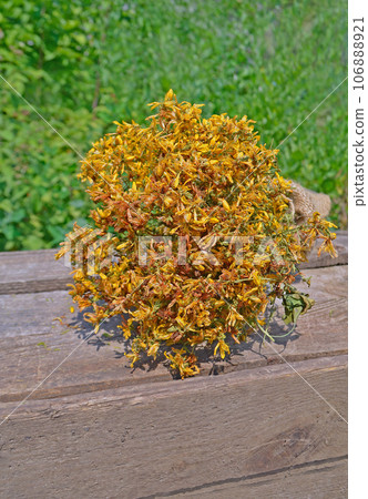 Hypericum perforatum dried Hypericum perforatum dried 106888921