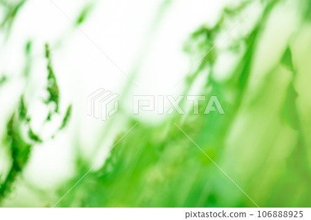 Negative space bokeh background. Negative space bokeh background. 106888925