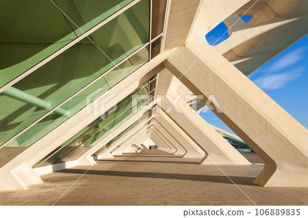 The City of Arts and Sciences in Valencia, Spain 106889835