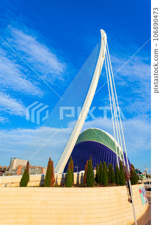 The City of Arts and Sciences in Valencia, Spain 106890473