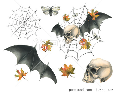 Human skull flying with bat wings, night moths, cobweb and autumn maple leaves. Hand drawn watercolor illustration for Halloween. Set of isolated elements on a white background 106890786