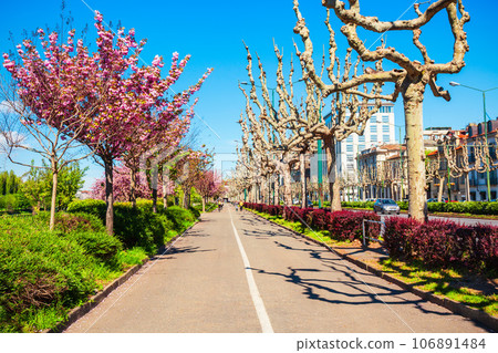 Public park in Turin city, Italy 106891484