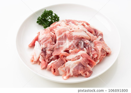 shredded pork shredded pork 106891800