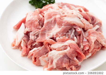 肉絲 肉絲 106891802