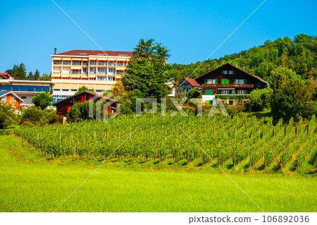 Vineyards in Spiez town, Switzerland 106892036