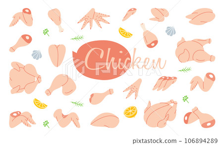 Chicken set. Butcher shop. Chicken farming products. Whole chicken, brisket wing, fillet, ham, leg, breast, shank, drumstick. Vector illustration. Chicken set. Butcher shop. Chicken farming products. Whole chicken, brisket wing, fillet, ham, leg, breast, shank, drumstick. Vector illustration. 106894289