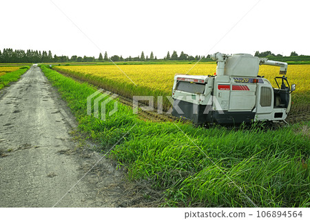 Harvest season, autumn scenery, combine harvester, Arakawa riverbed 106894564