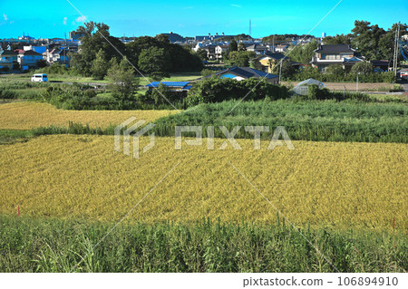 收穫季節：從荒川岸眺望指尾木站 106894910