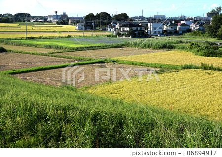 收穫季節:從荒川岸眺望指尾木站 收穫季節:從荒川岸眺望指尾木站 106894912