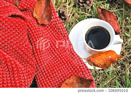 Coffee and red sweater on the lawn 106895018
