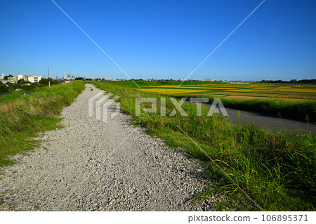 View from the Arakawa bank towards Saitama Shintoshin 106895371