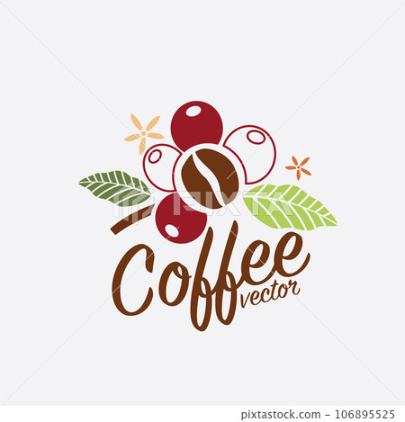 Vector illustration of Specialty coffee, Branches of coffee tree with leaves and berry Vector illustration of Specialty coffee, Branches of coffee tree with leaves and berry 106895525