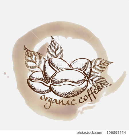 Vector illustration of Specialty coffee,  Branches of coffee tree with leaves and berry 106895554