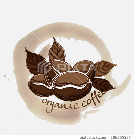 Vector illustration of Specialty coffee,  Branches of coffee tree with leaves and berry 106895555