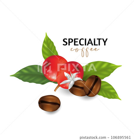 Vector illustration of Specialty coffee,  Branches of coffee tree with leaves and berry 106895561